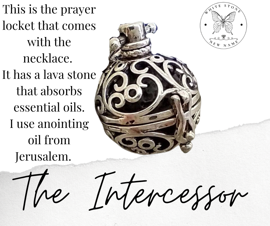 The Intercessor