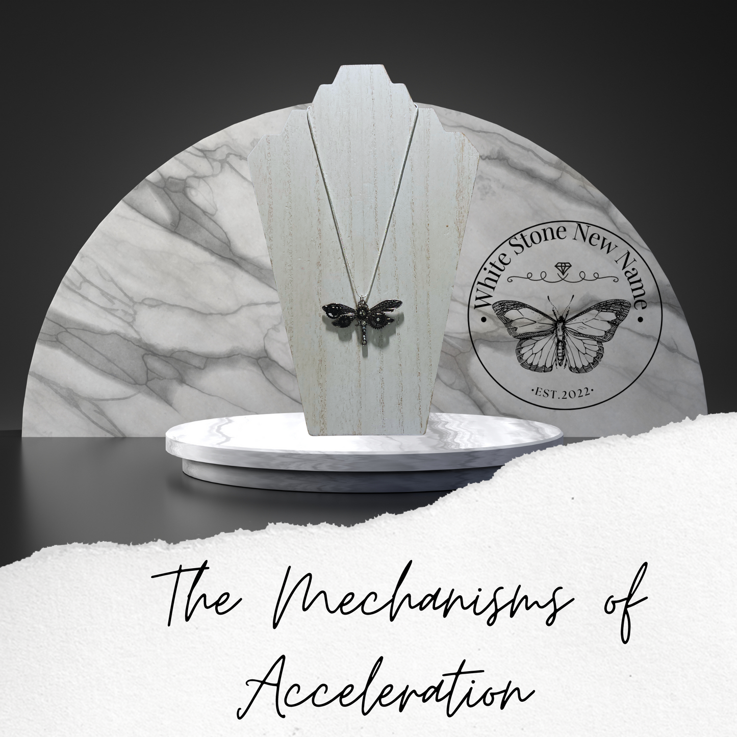 The Mechanism of Acceleration Dragonfly